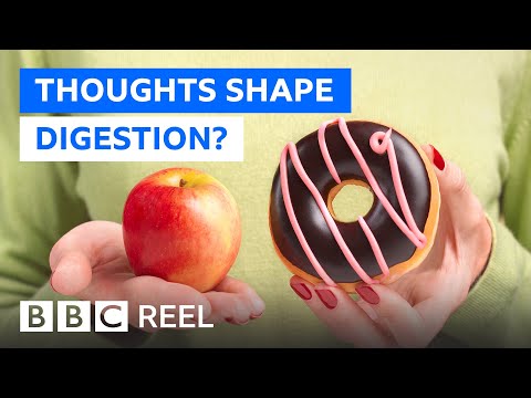 Could pleasure be key to losing weight? - BBC REEL