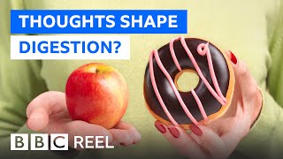Could pleasure be key to losing weight? - BBC REEL