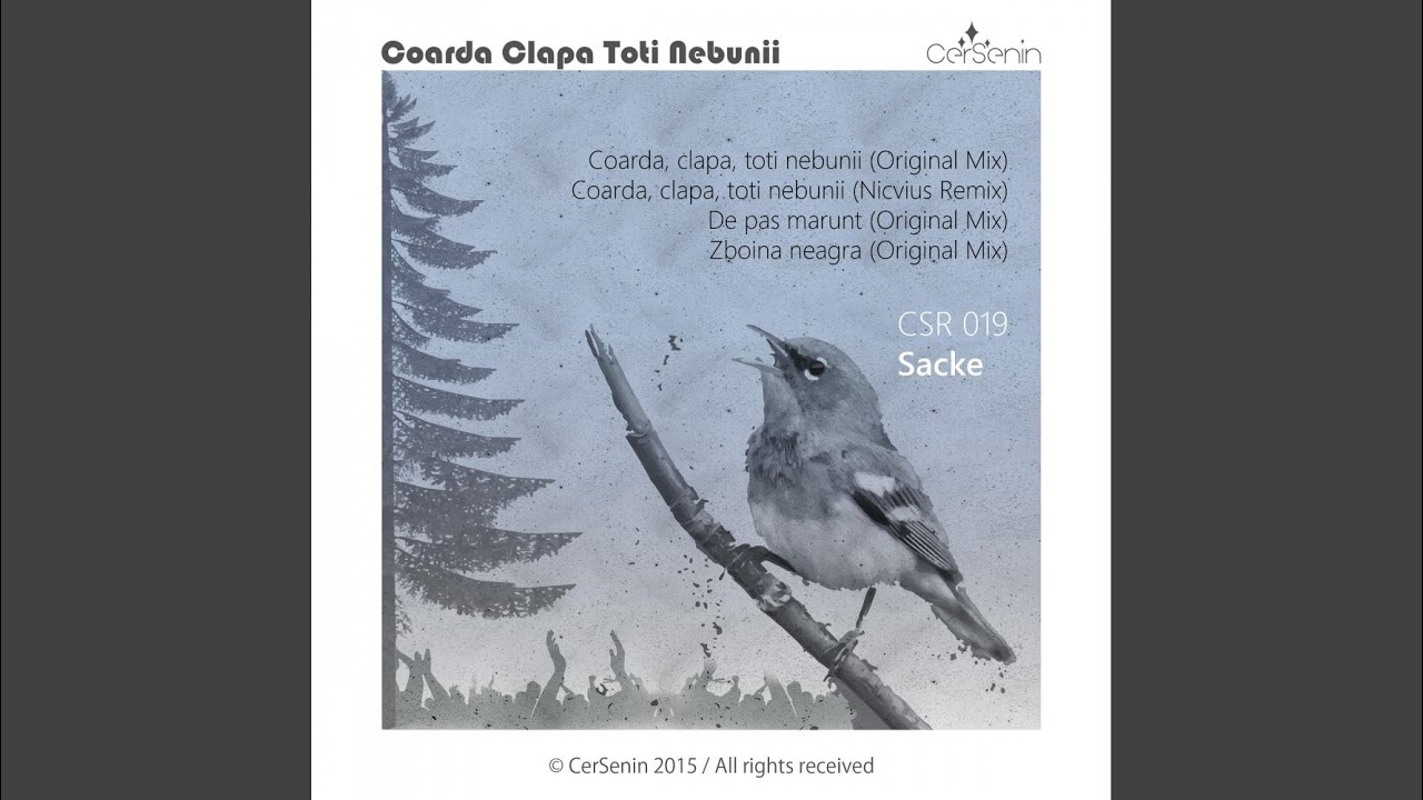 De Pas Marunt (Original Mix)