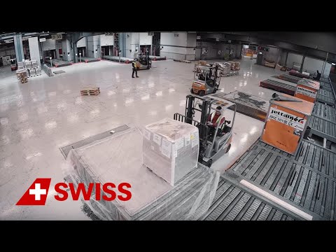 Swiss WorldCargo - 1000 tonnes of cargo are palletised every day