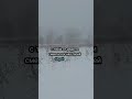 #стихи #подпишись #любовь