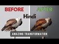 How i edit my bird photos  wildlife photography postprocessing using photoshop cc in hindi 