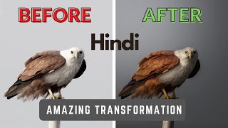 How I Edit My Bird Photos | Wildlife Photography Post-processing using Photoshop CC in Hindi |