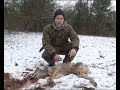 MICHIGAN PUBLIC LAND COYOTE HUNTING and KILL with a SHOTGUN