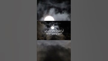 تلاوة هادئة لفضلية الشيخ#ناصر_القطامي#قرآن_كريم