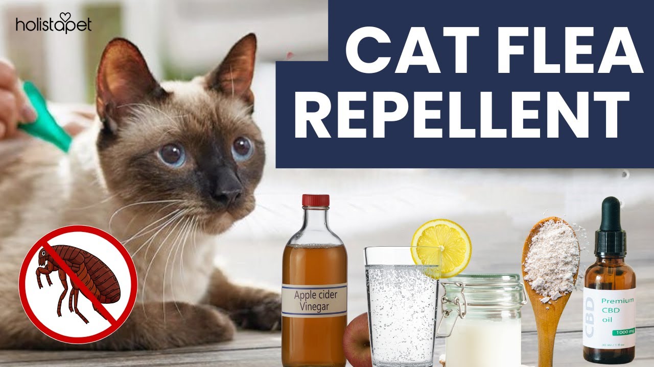 Natural Flea Repellent for Cats That Actually Works