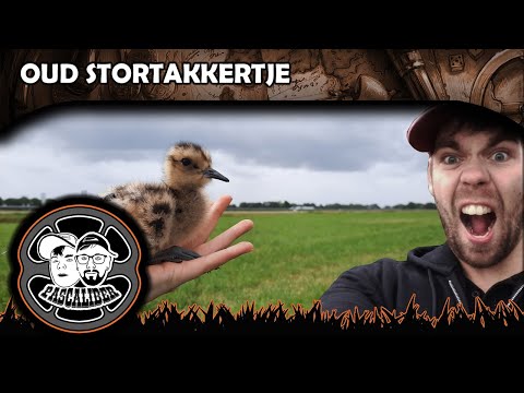 Oud Stortakkertje ( Pascaliber Metaaldetectie )