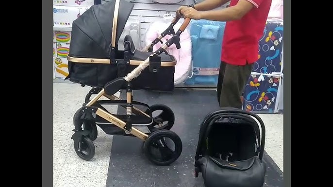 Coche Bebe Cuna Moises con Portabebe Frezzio PRIORI