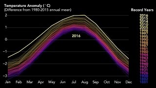 Celebrity 2016 - the hottest year on record Net Worth