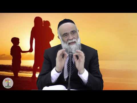 הדרך לחינוך - הרב משה פינטו HD