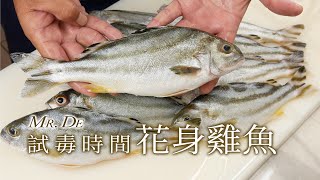 【試毒時間】花身鯻‧花身雞魚- 甜度破表の究極美味 