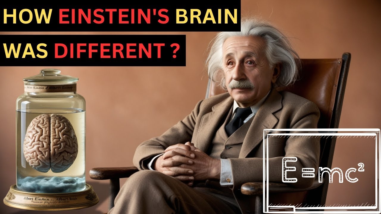 How Einstein's Brain Was Different?