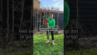 Gebruik Deze Tips Voor Een Mooi Gazon