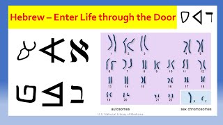The Hebrew Dalet - Enter The Door