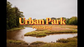 Photo walk in an urban park with nature sounds