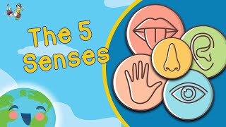 Five Senses For Kids (Learning Videos For Kids)