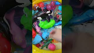 Washing Sea animal toys in water pool