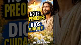 Santo Evangelio de Hoy, ¿Vives preocupado? Escucha lo que Jesús te dice hoy | Mateo 6, 24-34
