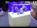 Interzoo 2018: NYOS Opus 300 ein außergewöhnliches Aquarium