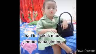 Persit cilik