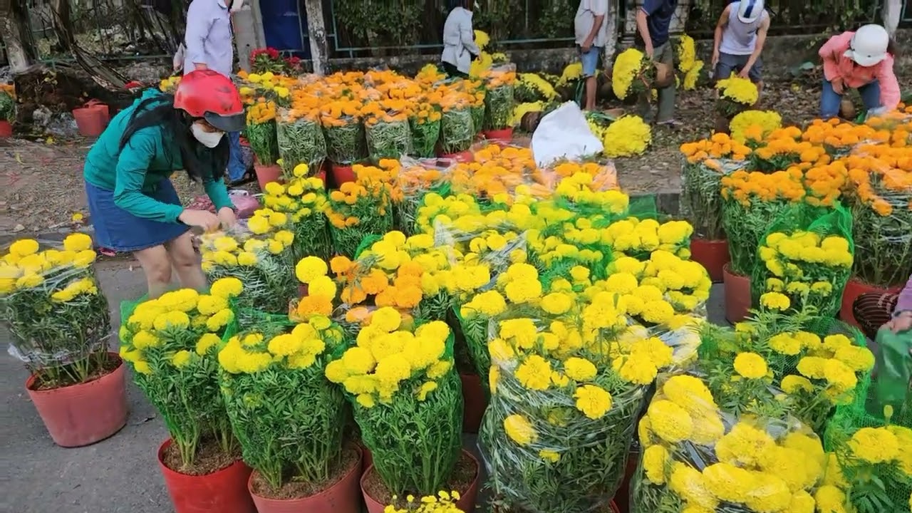 Tập 082: Chợ Tết Chiều Cuối năm bán tháo bán đổ để về quê cùng gia đình đón tết