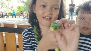 Liburan ke Ecopark Ancol