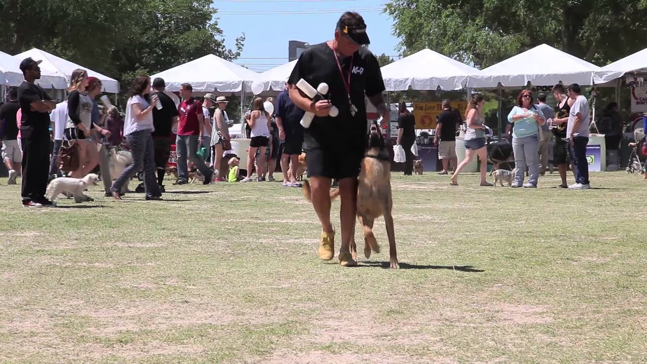 Dog Training at Pet-a-Palooza | SitMeansSit.com