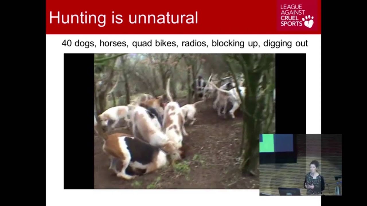 the case against hunting