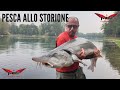 MILO TV - Pesca allo Storione