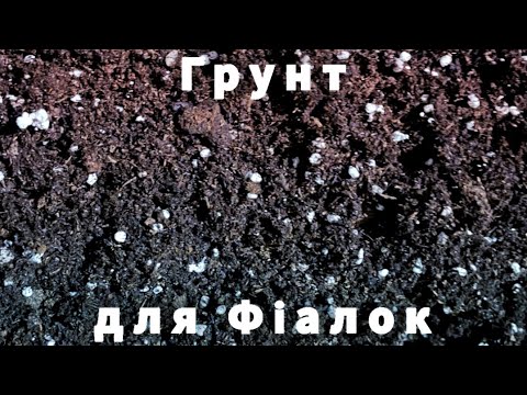 МІЙ СПОСІБ ПРИГОТУВАННЯ ГРУНТУ ДЛЯ УЗУМБАРСЬКОЇ ФІАЛКИ ПРИ ВЕРХНЬОМУ ПОЛИВІ рослиниукраїна фіалки
