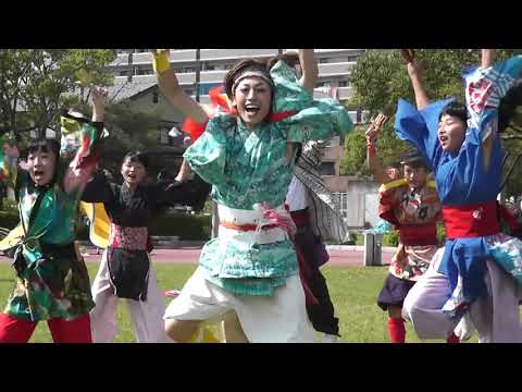 おおかwaダンス祭り【ふくこい踊り隊】