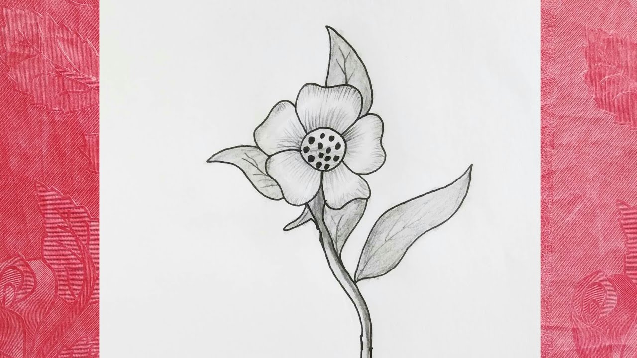 Easy flower drawing step by step. Nice flower drawing tutorial. Bizli