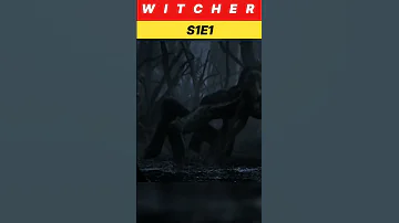 Witcher S1F1 Fight Gralt Vs Monster Witcher Fight Xbee 