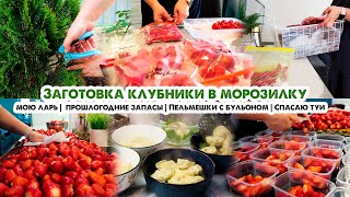 Прошлогодние запасы❄️Заморозка клубники: любимые способы🍓Жалко любимые туи🌲🐕Пельмени с бульоном🍲