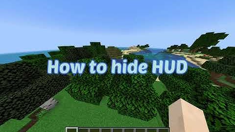 How to hide your HUD in Java