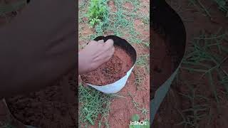 Ennoda Kutty Thottathil Innaiku Vithaigal Pottachi