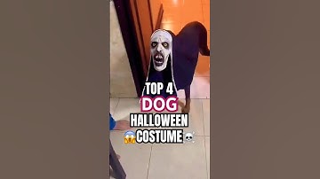 Halloween Dogs😱 #DogCostumeIdeas #Halloween2025# PetCostumeTrends