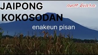 KOKOSODAN GOGOLERAN | SENI SUNDA JAIPONG