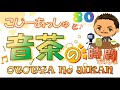 コジーアッシュと音茶の時間ですよ
