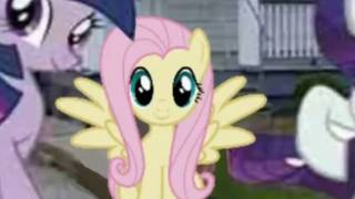 flesh cube into fluttershy