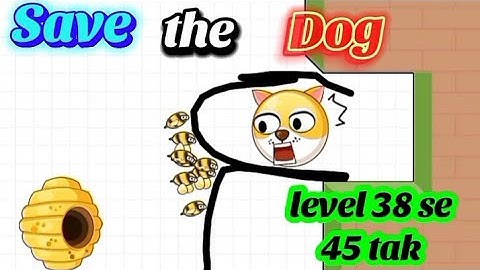 Save the dog 🐕🐶 Gameplay Video 😀 Level 38 se 45 tak
