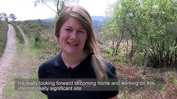 New Site Manager   East Devon Pebbledbed Heaths