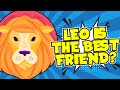 Top 12 reasons why you need a leo friend in your life