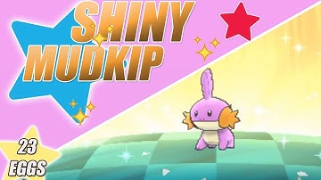 Live Shiny Mudkip - 23 hatched eggs via Masuda method