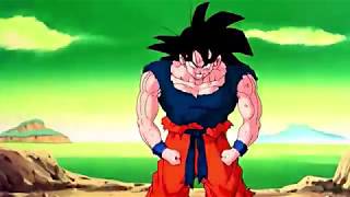 Dragon Ball Screaming
