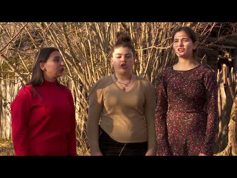 \"თხამ ვენახი შეგვიჭამა\" • ანს.#სამშვენისი(ოზურგეთი)