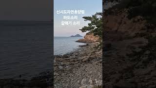 신시도자연휴양림 파도소리 갈매기 소리