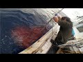 【キハダマグロ】真冬の沖縄で暴れるマグロを銛で一突き!