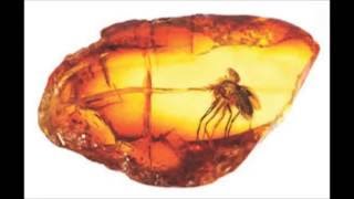 Amber Metaphysical Uses