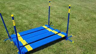 350843 Agility Broad Jump